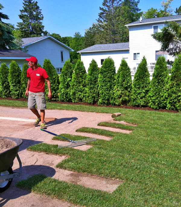 Sault Ste. Marie Lawn Care Services of the Eastern Upper Peninsula | Soo Lawn Care | Lawn Care in Sault Ste. Marie | Lawn Care Brimley, Pickford, Kinross, St Ignace, Dafter, Cedarville, Hessel