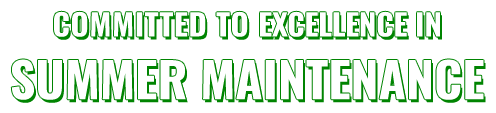Best Lawn Summer Maintenance
