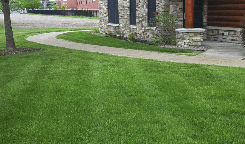 Best Lawn Maintenance Summer Services