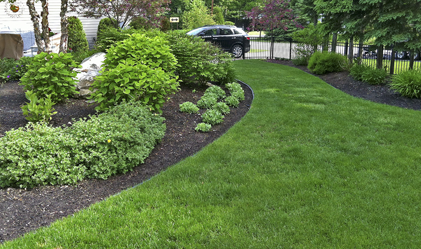 Best Lawn Maintenance Summer Services