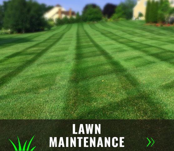 Lawn Maintenance Services