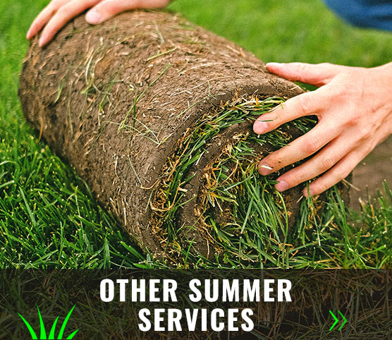 Other Summer Services in the Sault Ste. Marie area