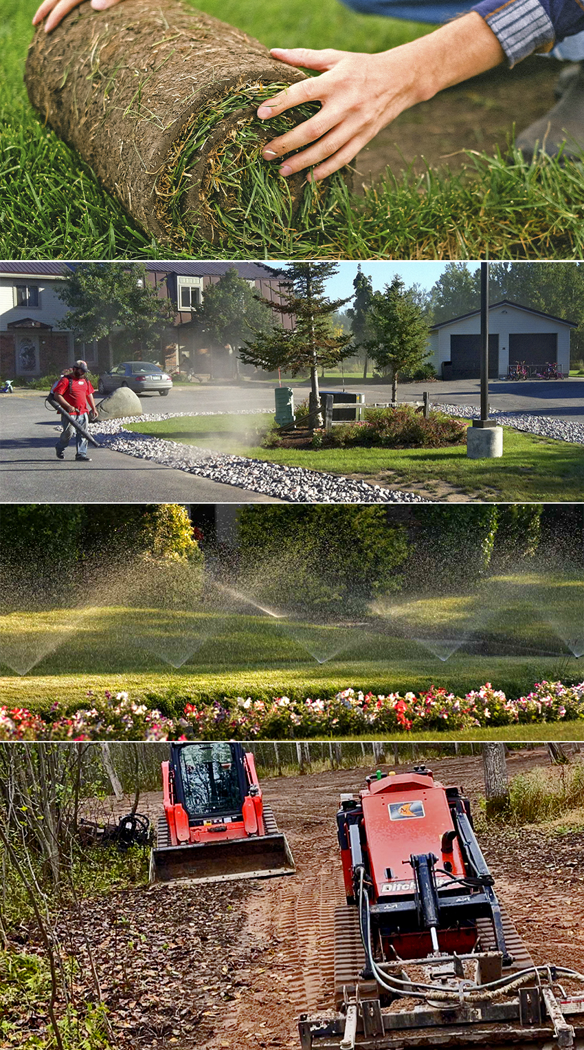 Best Lawn Maintenance Summer Services