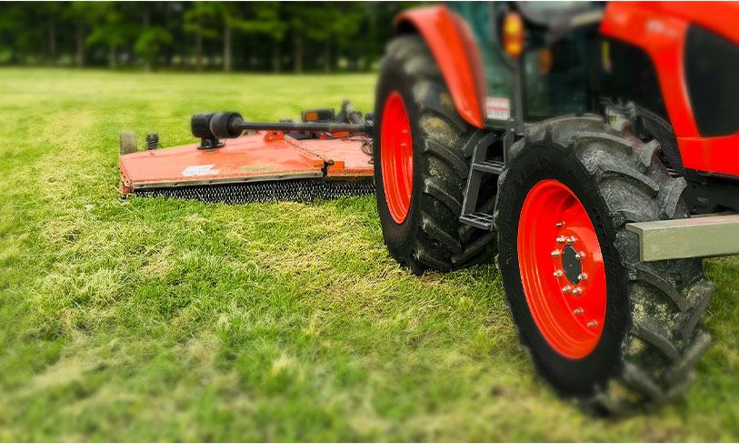 Best Lawn Maintenance Summer Services