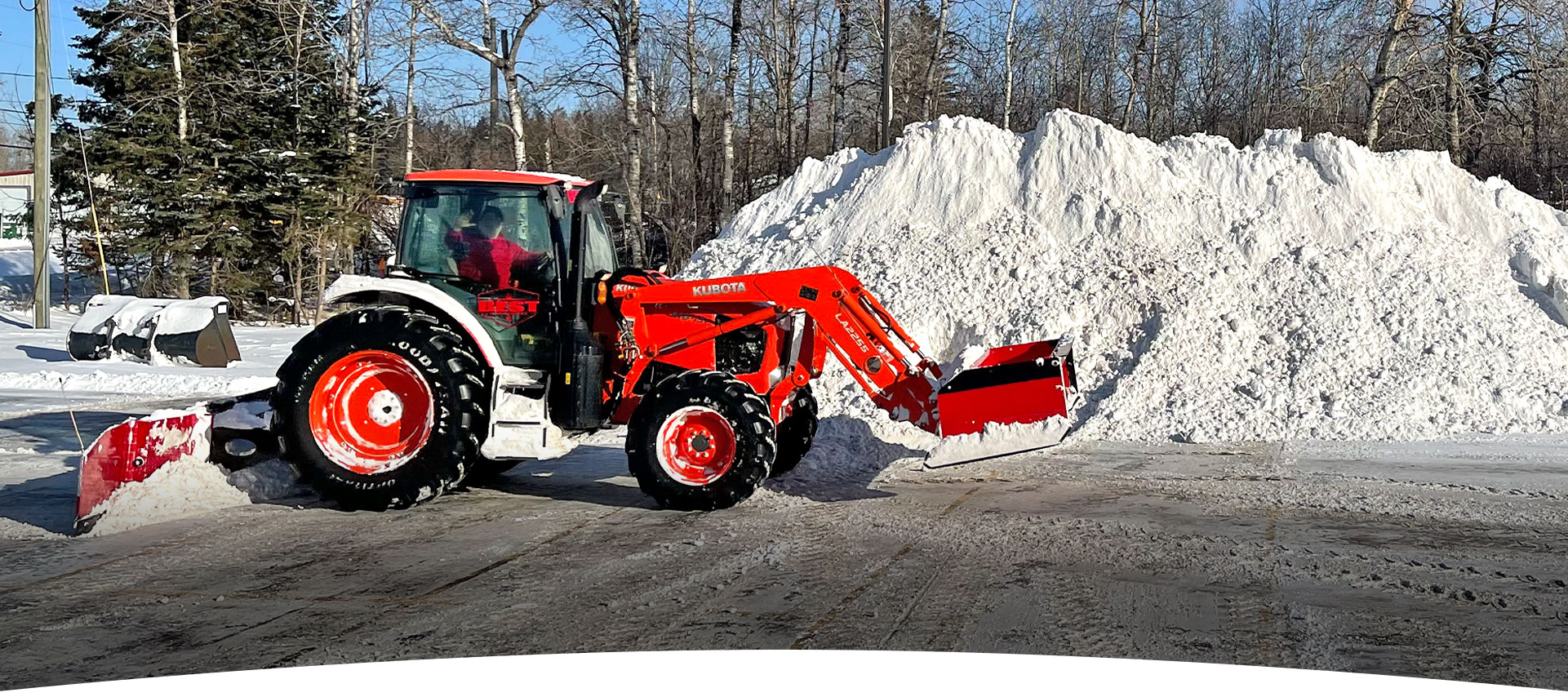 Best Lawn Winter Maintenance