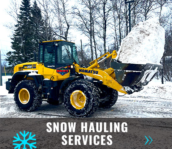 Sault Ste. Marie Snow Hauling Services