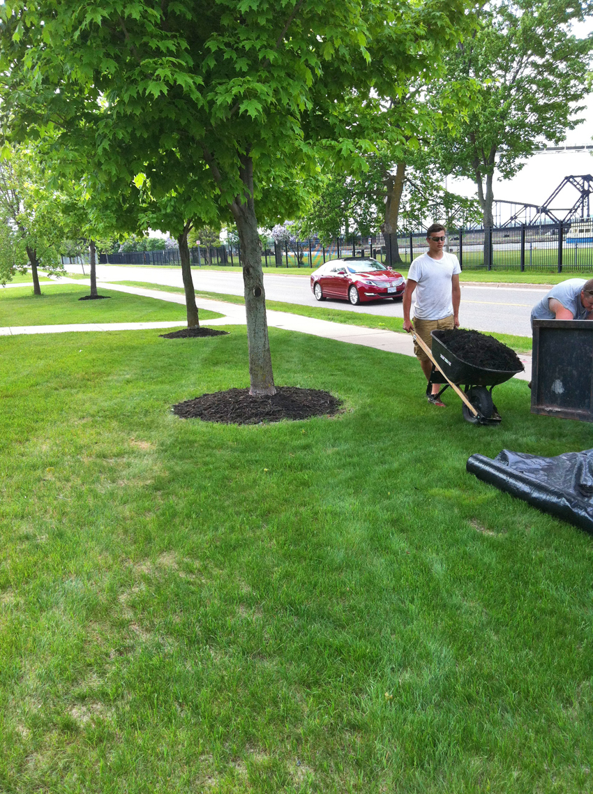 Sault Ste Marie Lawn Care Services and Snow Plowing