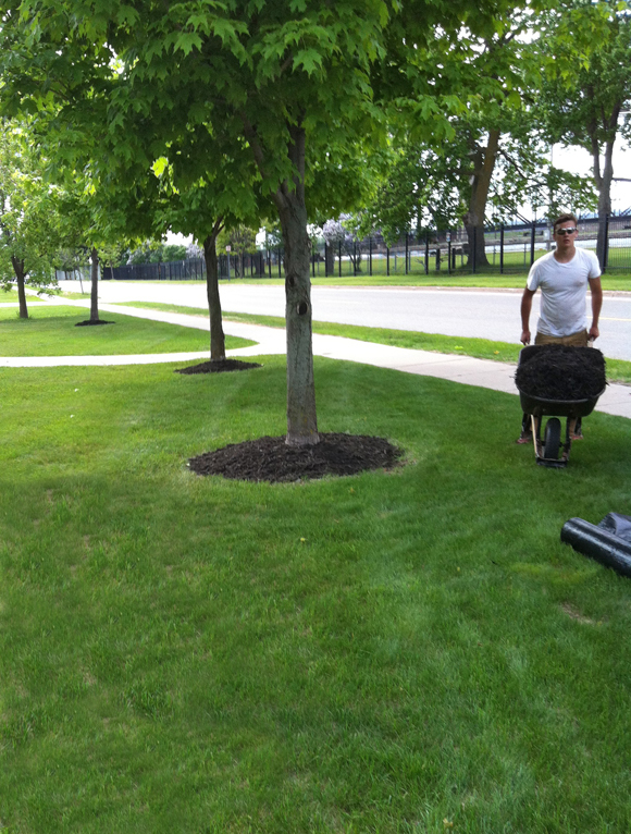 Sault Ste Marie Lawn Care Services and Snow Plowing